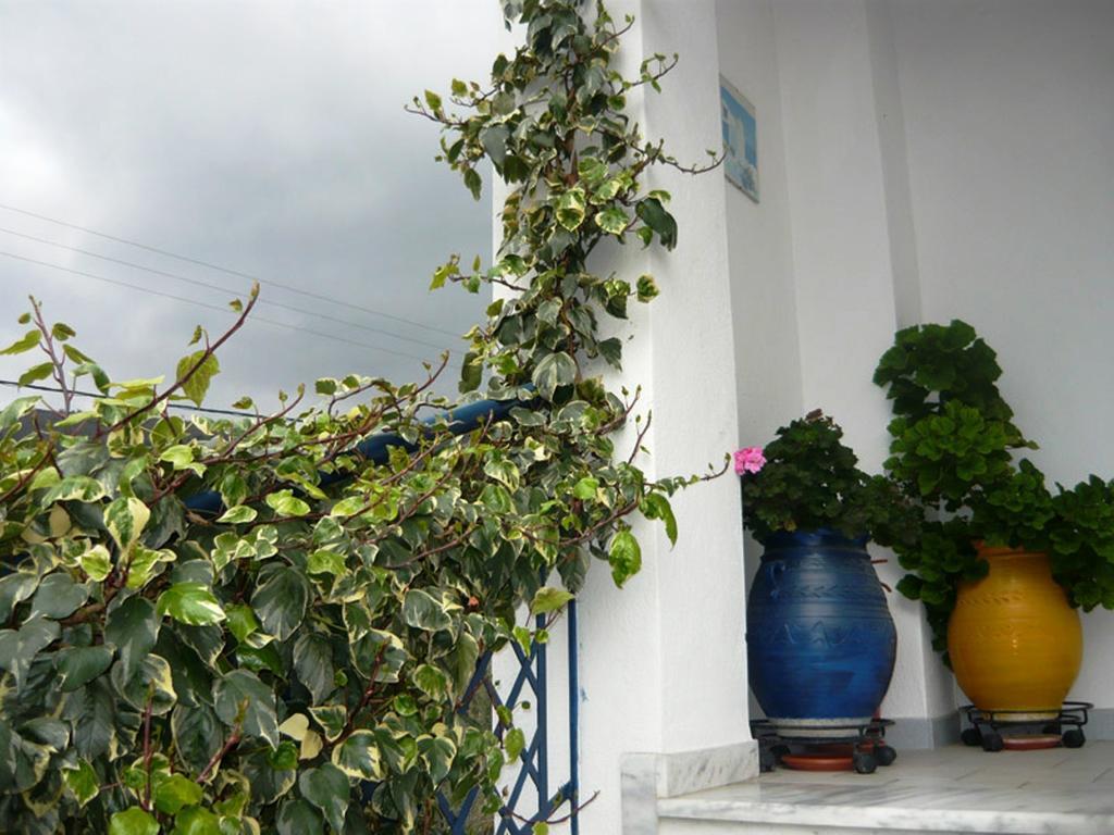 Villa Stegiovana Stavros (Thessaloniki) Exterior foto